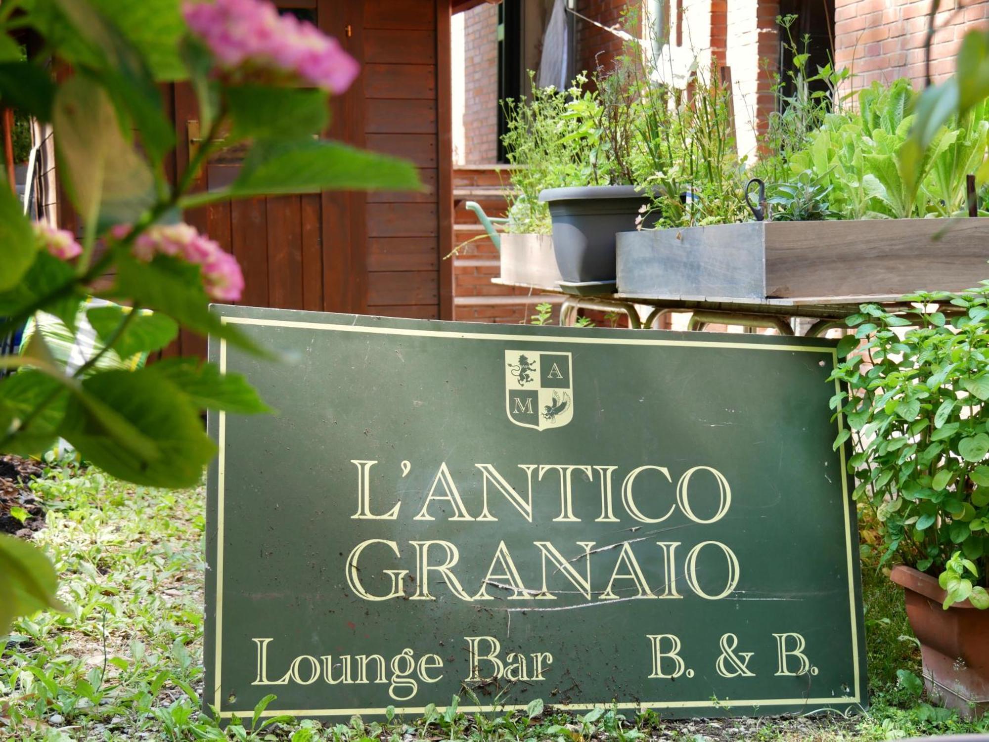 L'Antico Granaio Paliano Bed & Breakfast Екстериор снимка