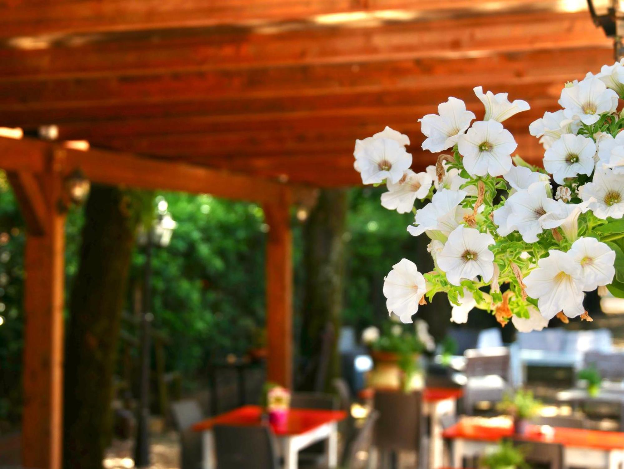 L'Antico Granaio Paliano Bed & Breakfast Екстериор снимка