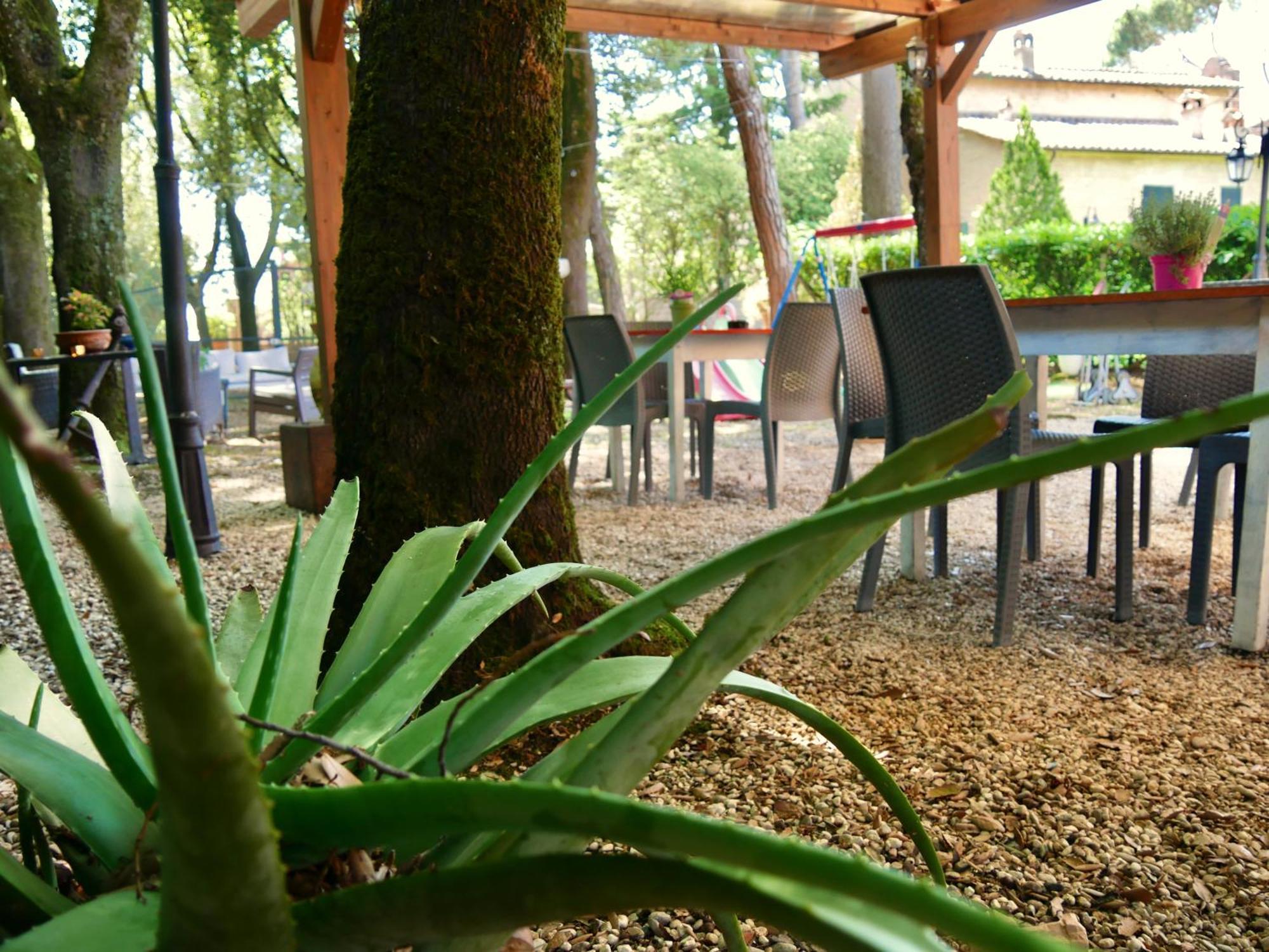L'Antico Granaio Paliano Bed & Breakfast Екстериор снимка